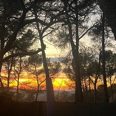 Maison Provencale Au Calme De La Campagne Avec Jacuzzi Αιξ-αν-Προβάνς Εξωτερικό φωτογραφία
