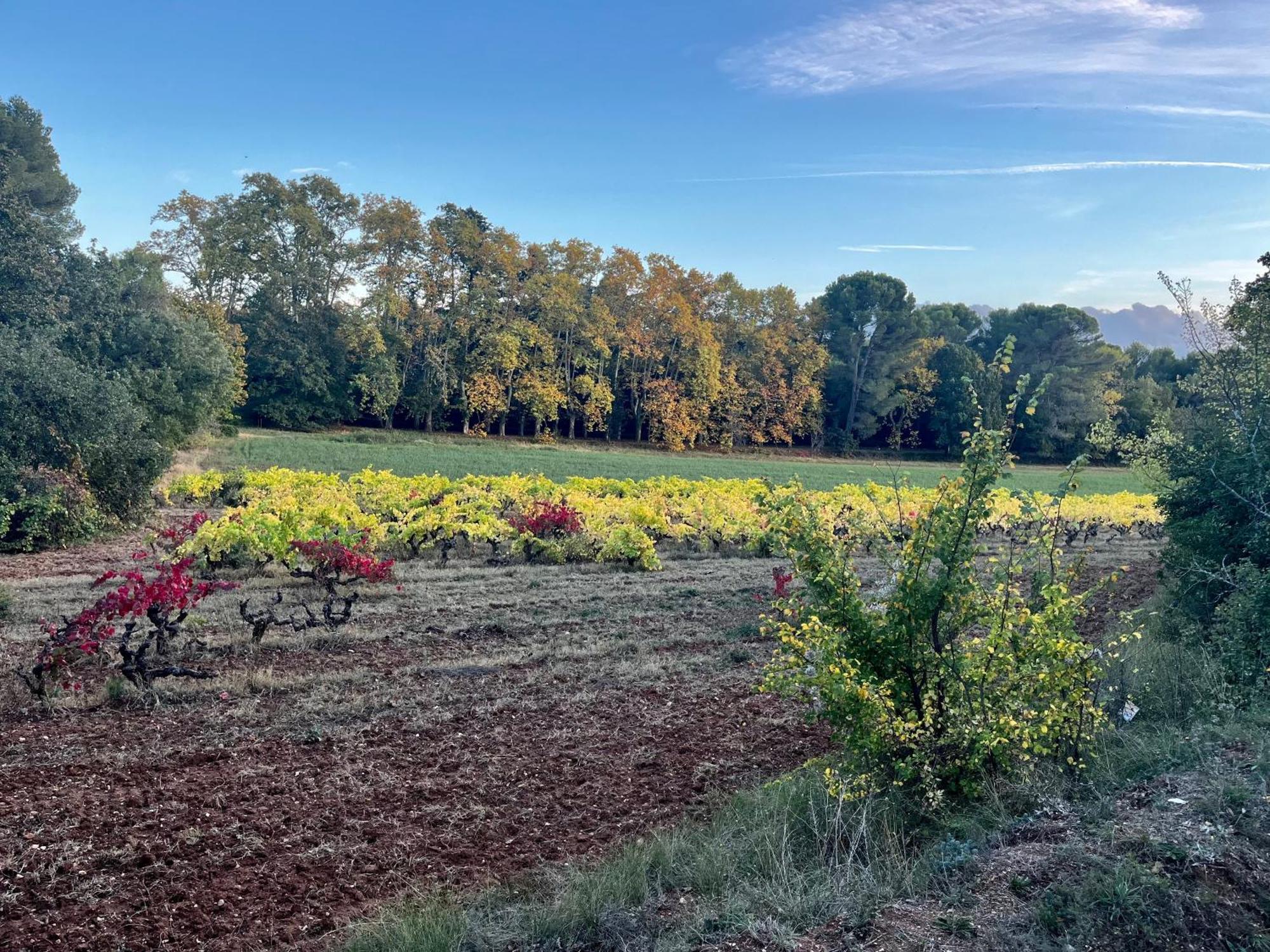 Maison Provencale Au Calme De La Campagne Avec Jacuzzi Αιξ-αν-Προβάνς Εξωτερικό φωτογραφία