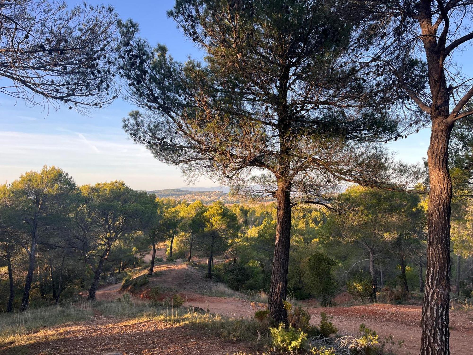 Maison Provencale Au Calme De La Campagne Avec Jacuzzi Αιξ-αν-Προβάνς Εξωτερικό φωτογραφία